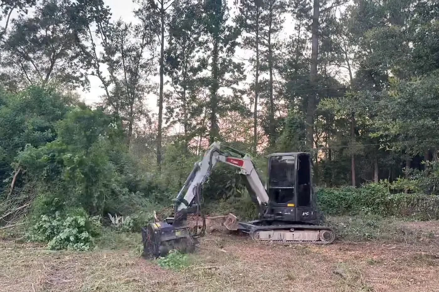 Mini excavator clearing brush for site preparation on a wooded homesite